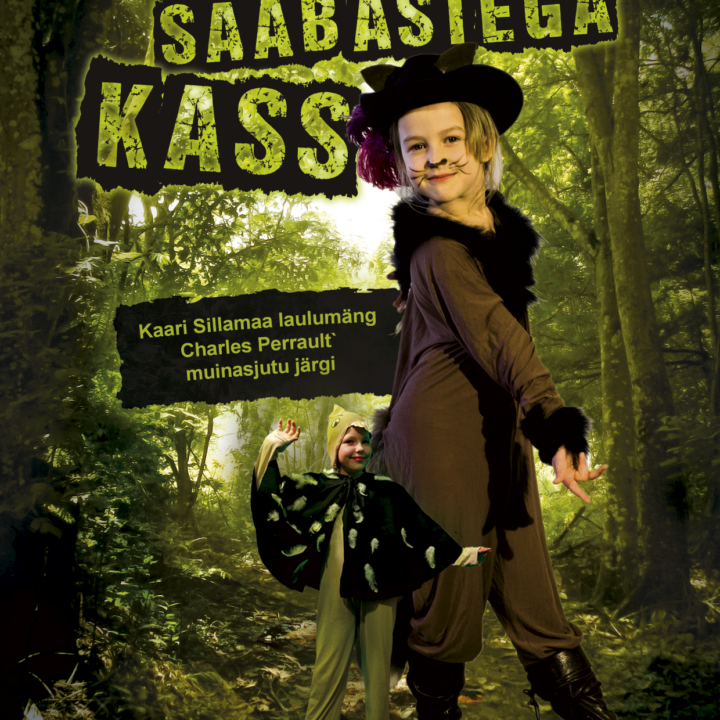 Saabastega kass